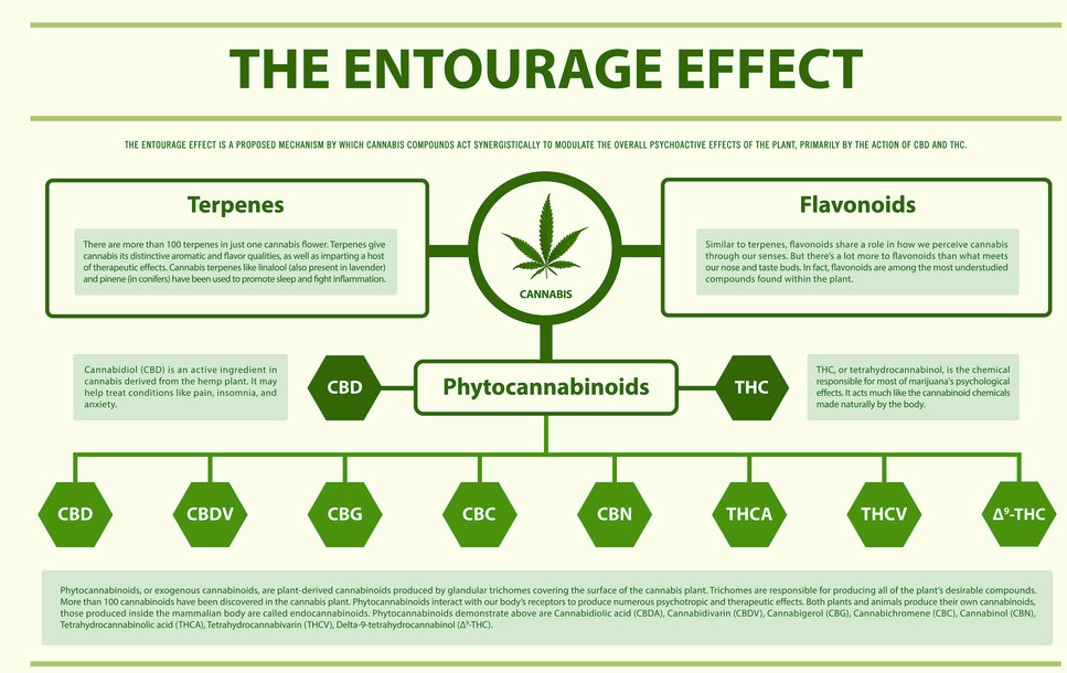 cannabinoids present in cannabis. together they create an entourage effect